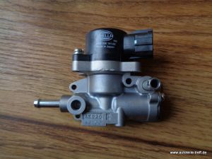 Leerlaufregelventil Nissan Almera 1,8 114 PS